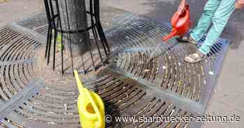 Baumpaten in Neunkirchen treffen sich erstmals - Saarbrücker Zeitung