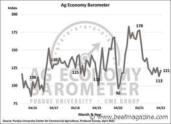 Producer sentiment improves with strengthened commodity prices