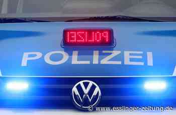 Polizeieinsatz in Filderstadt - Nach Ladendiebstahl greift 16-Jährige Polizisten an - esslinger-zeitung.de