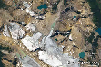 Peyto Glacier in Banff National Park • Earth.com - Earth.com