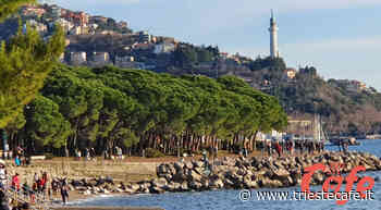 “Pesca alla plastica “, domenica 5 giugno a Trieste raccolta della plastica in mare in concomitanza con la giornata mondiale dell'ambiente - triestecafe.it