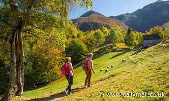 Forget Botox: Regular brisk walks make you look AND feel 16 years younger by middle age