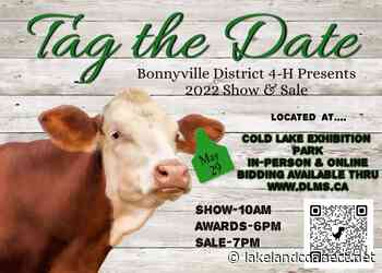 Bonnyville and District 4H Show and Sale - Lakeland Connect