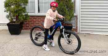 Best Electric Bike for 2022     - CNET