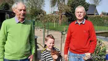 Rassegeflügelzuchtverein Apen-Augustfehn besteht seit 125 Jahren - Nordwest-Zeitung