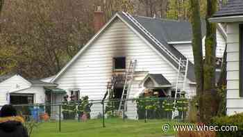 Dog and cat killed in Rochester fire