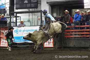 Lacombe Pro Bull Riding to make a return this summer - LacombeOnline.com