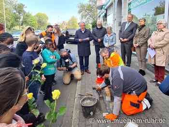 Sieben neue Stolpersteine erinnern an Opfer des Nationalsozialismus