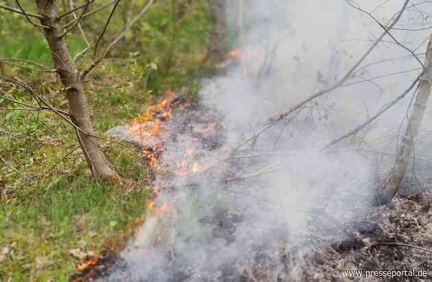 FW Celle: Böschungsbrand an der DB-Strecke zwischen Celle und Eschede - Feuerwehren im Großeinsatz!