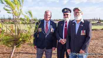 Geraldton to plant 139 Lone Pine trees in recognition of local veterans - The West Australian