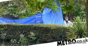 Body of man found near war memorial in Farnham - Metro.co.uk