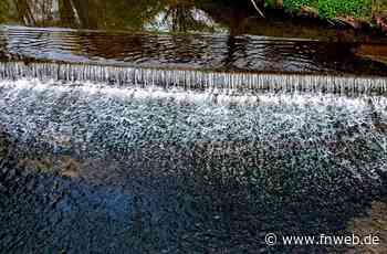 Viele Wasserkraftanlagen in der Region Odenwald-Tauber betroffen: Beeinträchtigung der Gewässerökologie? - Tauberbischofsheim - Nachrichten und Informationen - Fränkische Nachrichten