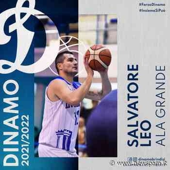 La Limongelli Dinamo Brindisi rinforza il roster aggiungendo l'esperienza ed il talento di Salvatore Leo - newSpam.it