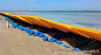 Brindisi, nella riserva marina una start up installa barriere salva - spiaggia contro l'erosione - quotidianodipuglia.it