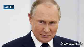 „Die nächsten sechs Monate klingelt die Kasse in Russland“