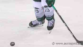 DEL: Augsburg verlängert mit Torjäger Payerl - Eurosport DE