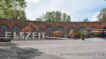 Umbau des Lokschuppen-Vorplatzes: Das finden die Stadträte gut, das kritisieren sie