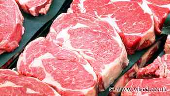 You Don't Have to Quit Meat to Save the Planet—Just Eat Less