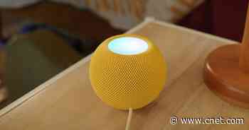 Best Mother's Day Gifts in 2022     - CNET