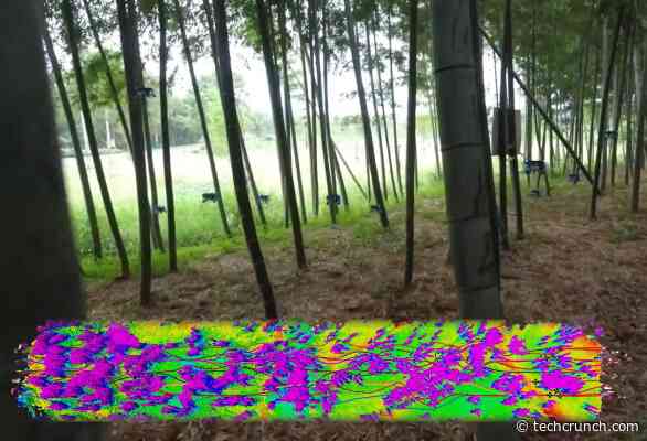 Swarming drones autonomously navigate a dense forest (and chase a human)