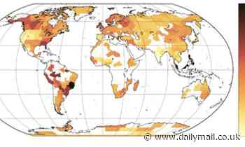 Scientists identify the most extreme heatwaves ever recorded