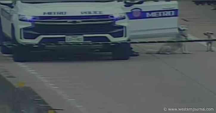 Video: Police Rescue Husky and Maltese Found Running in HOV Lane on Busy Texas Freeway
