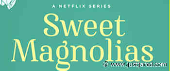 'Sweet Magnolias' Renewed By Netflix, Three Stars Confirmed to Return!