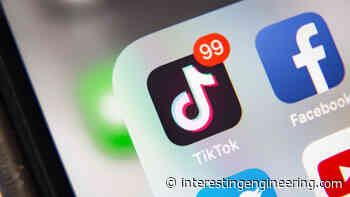 TikTok could substantially enhance its artificial reality success. Faster than Snap? - Interesting Engineering