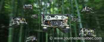 Des essaims de drones autonomes testés avec succès en pleine nature