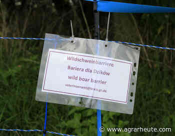 Rechtsgutachten: Bau des ASP-Zauns an Grenze zu Polen war unzulässig - agrarheute.com