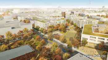 Hamburgs größter Bau-Flop: Beim Holsten-Quartier geht ALLES schief | Regional - BILD