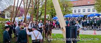 Traunstein: Schreck beim Maibaumaufstellen - Traunsteiner Tagblatt