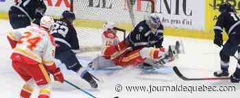 LHJMQ: une toute nouvelle saison pour le Drakkar