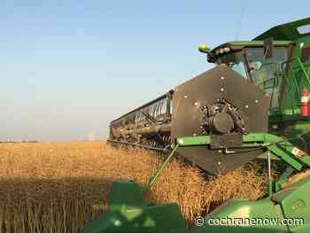 AgriStability enrollment deadline extended - CochraneNow.com