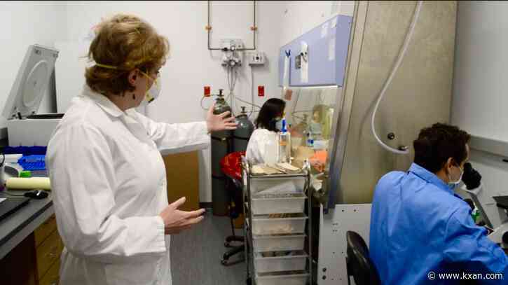 LIVE: Mild COVID-19 infection affects brain structure, UT research shows