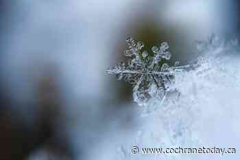 Cochrane under snowfall warning: Environment Canada - Cochrane Today