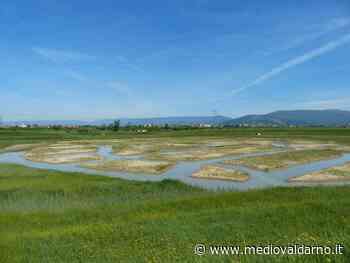 COLEPS: inaugurazione nuova opera ambientale di Carlo Scoccianti (Artlands) - Mediovaldarno.it