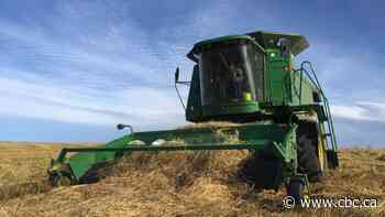 Sask. only Canadian province that saw GDP drop in 2021: Statistics Canada