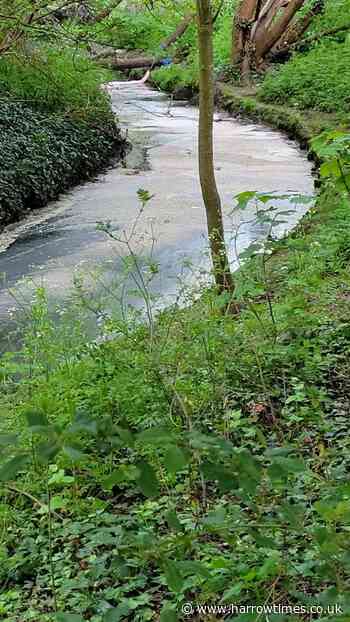 'Vile' sewage smell from 'health risk' Wealdstone Brook - Harrow Times