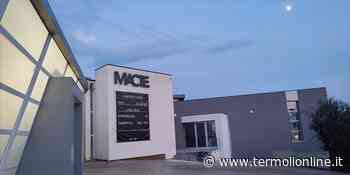 Le 3 ecologie, ultime due settimane per visitare la mostra al MacTe - Termoli Online