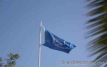 Bandiera Blu, Termoli senza per il quinto anno: Campomarino unica in Molise - Il Quotidiano del Molse