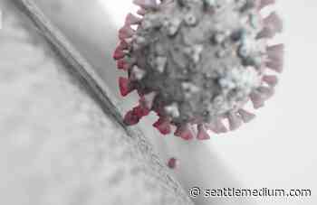 Newer, Fitter Descendants Of Omicron Variant Begin To Drive Their Own Coronavirus Waves - Seattle Medium