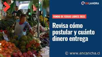 Fondo de Ferias Libres Sercotec: ¿Cómo acceder al beneficio y hasta cuándo se puede postular? - EnCancha.cl