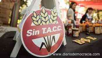 La atención de la celiaquía exige diagnósticos libres de “humo” - Diario Democracia