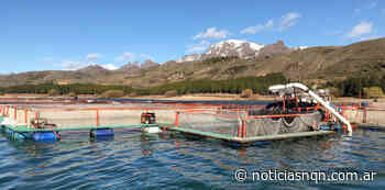 Monitorean embalses autodeclarados libres de enfermedades de salmónidos - Noticias NQN