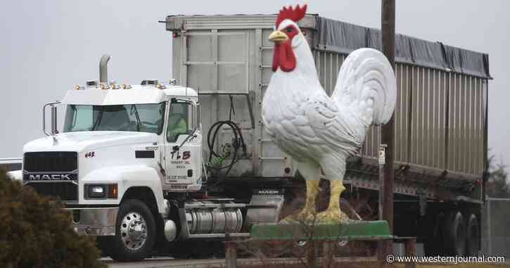 Bird Flu Explodes in US: Hundreds of Thousands of Chickens Dead All While Bizarre Disasters Hit Food Plants