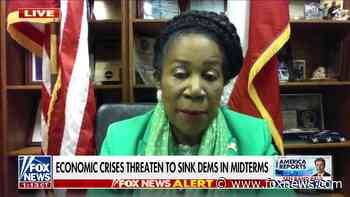 House Democrat defends Biden economic policies, credits him for 'keeping this country afloat and alive'