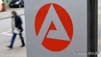 Rendsburg-Eckernförde: Arbeitsmarkt verlangt nach mehr Personal – auch Langzeitarbeitslose profitieren | shz.de - shz.de