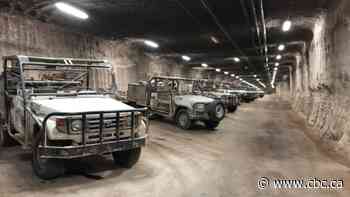 Canadian potash producer Nutrien sees record earnings as Ukraine war drives fertilizer demand