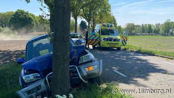 Man en hond gewond na botsing tegen boom - 1Limburg | Nieuws en sport uit Limburg
